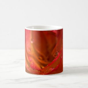 Taza De Café Cierre de Red Rose