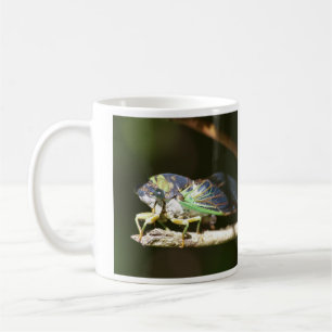 Taza De Café Cigarra