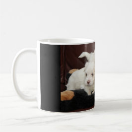 Taza De Café Cinco Cachorros Malteses En Una Variedad De Mugs