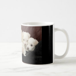 Taza De Café Cinco Cachorros Malteses En Una Variedad De Mugs