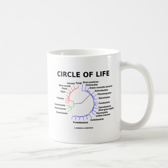 Taza De Café Círculo de la vida (árbol filogenético circular) (Derecha)
