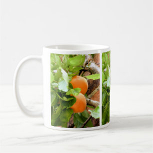 TAZA DE CAFÉ CIRUELAS