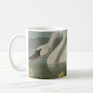 Taza De Café Cisne americano común