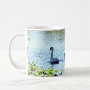 Taza De Café Cisne con crías en el río