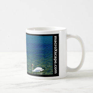 Taza De Café cisne solitario en el océano azul
