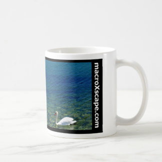 Taza De Café cisne solitario en el océano azul