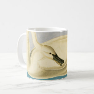 Taza De Café Cisne trompetero por John James Audubon, ave vinta