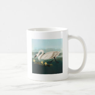Taza De Café cisnes de agua blanca de cisne audubon