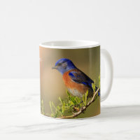 Cita Personalizado Bluebird