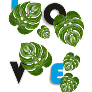 Taza De Café Classic Mug, 11 oz