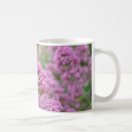 Taza De Café Clavelito de mar