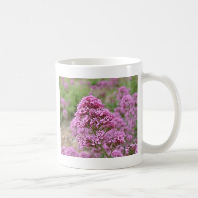 Taza De Café Clavelito de mar (Derecha)