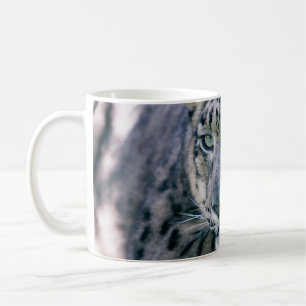 Taza De Café Closeup de Snow Leopard
