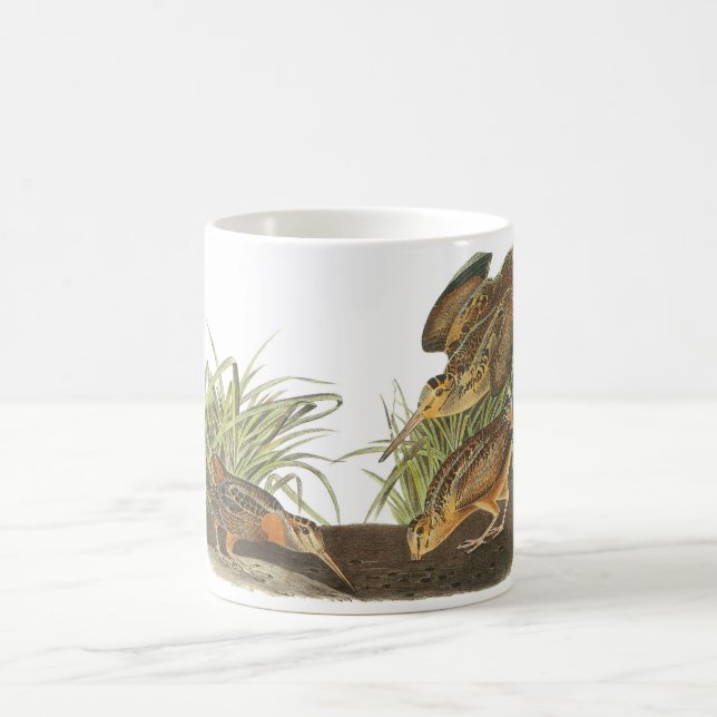 Taza De Café Coalla americana por Audubon (Centro)