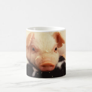Taza De Café Cochinillo perezoso