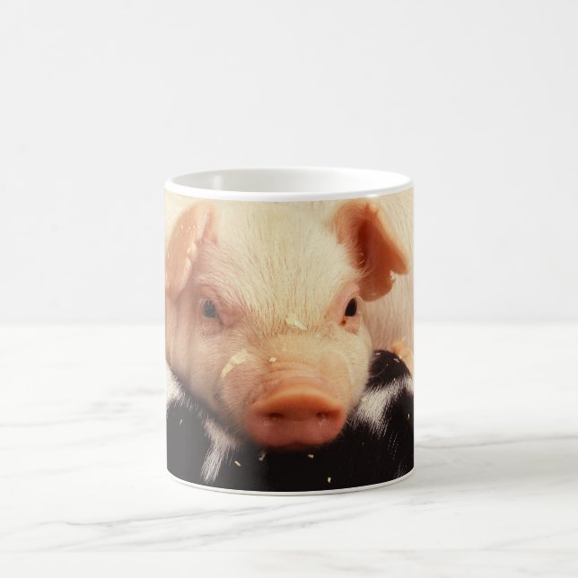 Taza De Café Cochinillo perezoso (Centro)