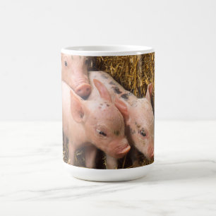 Taza De Café Cochinillos