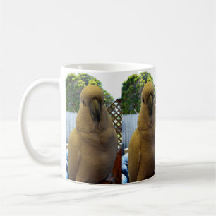 Taza De Café Cockatoo blanco australiano, café