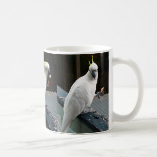 Taza De Café Cockatoo en el desayuno