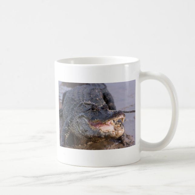 Taza De Café Cocodrilo (Derecha)
