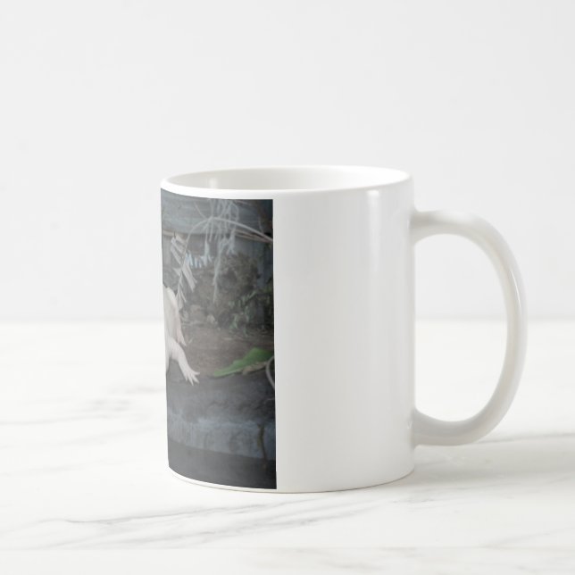 Taza De Café cocodrilo blanco (Derecha)