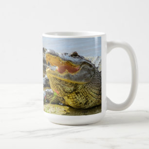 Taza De Café Cocodrilo. Cara a cara