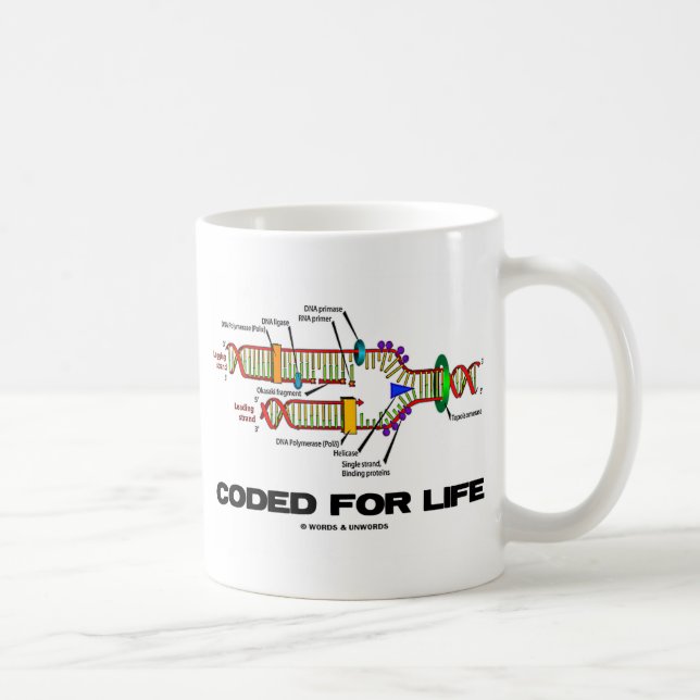 Taza De Café Coded For Life (replicación del ADN) (Derecha)