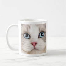 Coffee de amor y foto de gatos