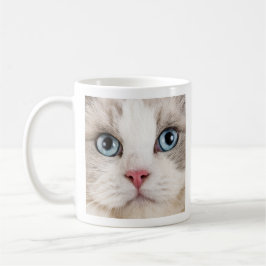 Taza De Café Coffee de amor y foto de gatos