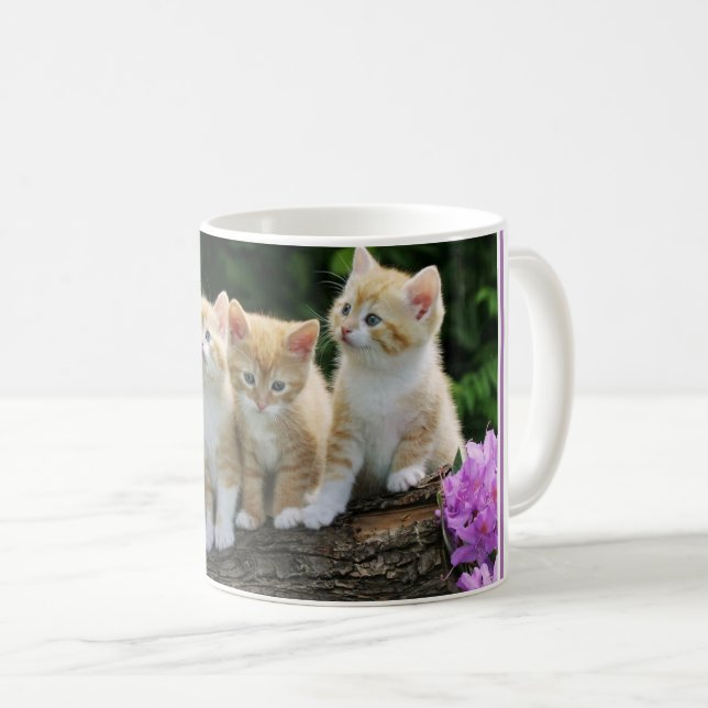 Taza De Café Coffee Mug-Kittens (Anverso derecho)
