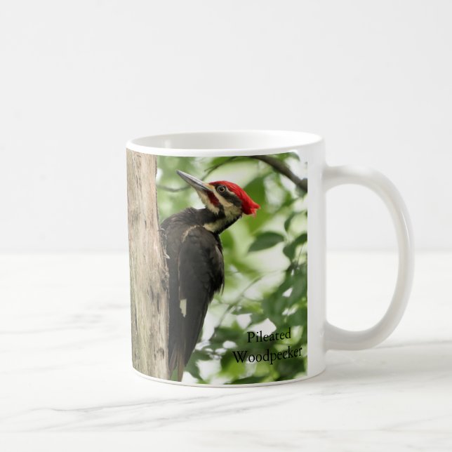 Taza De Café Coffee Mug Pileed Woodpecker (Derecha)