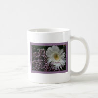 Coffeecup blanco de la margarita del gerber del