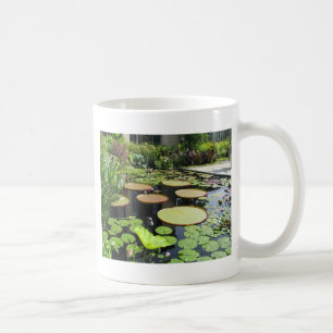 Taza De Café Cojines de lirio en los jardines de Longwood