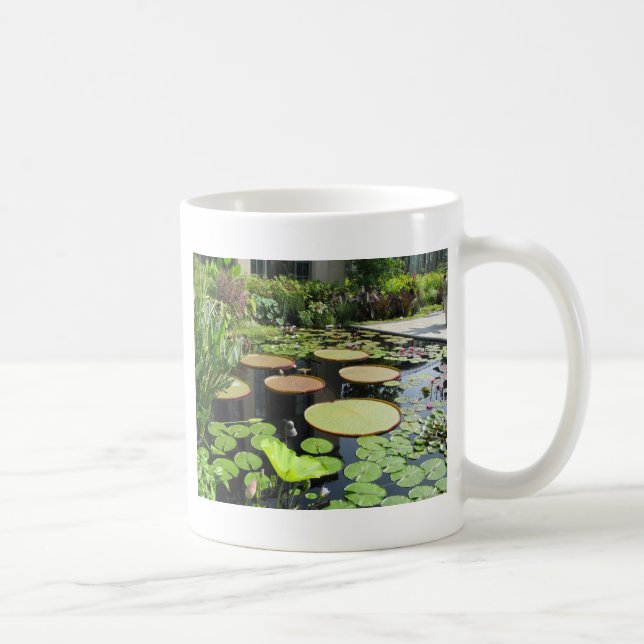 Taza De Café Cojines de lirio en los jardines de Longwood (Derecha)
