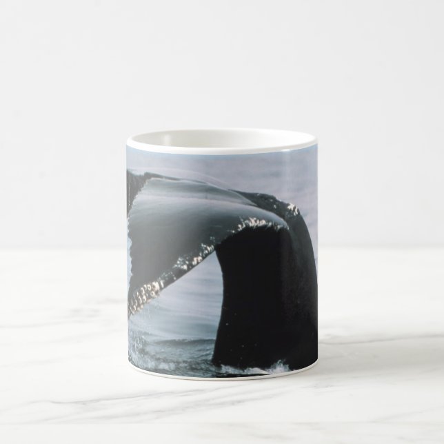 Taza De Café Cola de la ballena jorobada