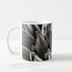 Taza De Café cola de pato mallard