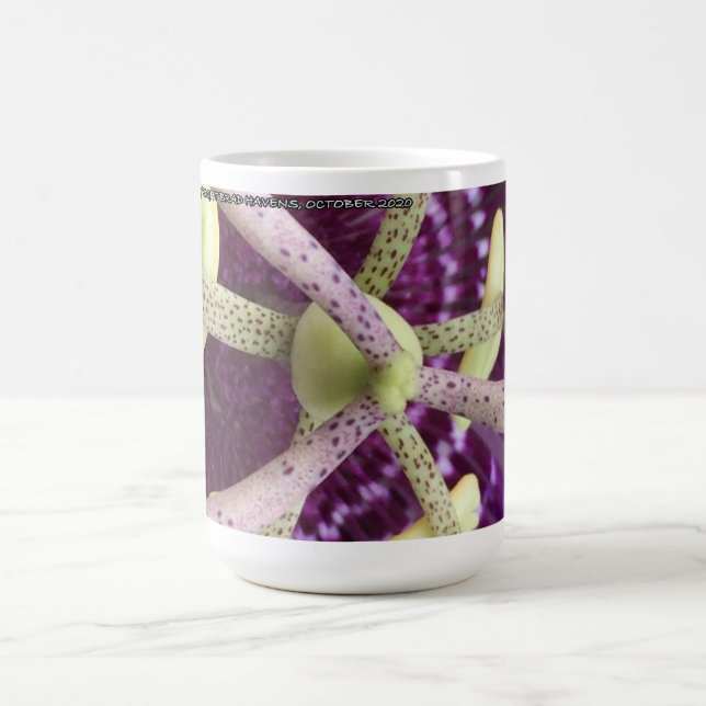 Taza De Café Colección de flores de estambre y pistils (Centro)