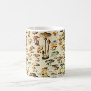 Taza De Café Colección de hongos