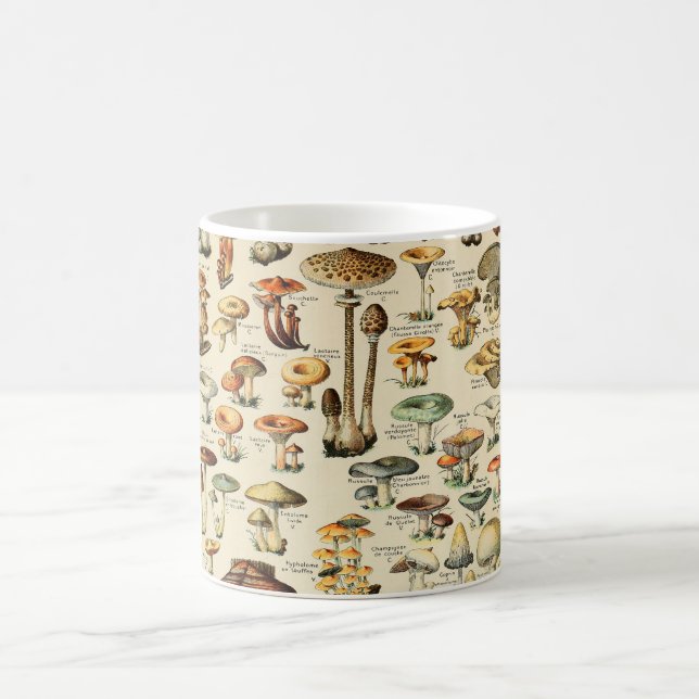 Taza De Café Colección de hongos (Centro)