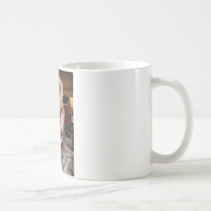Taza De Café Colección de Osos de Oso de Oso de Teddy, Patinado