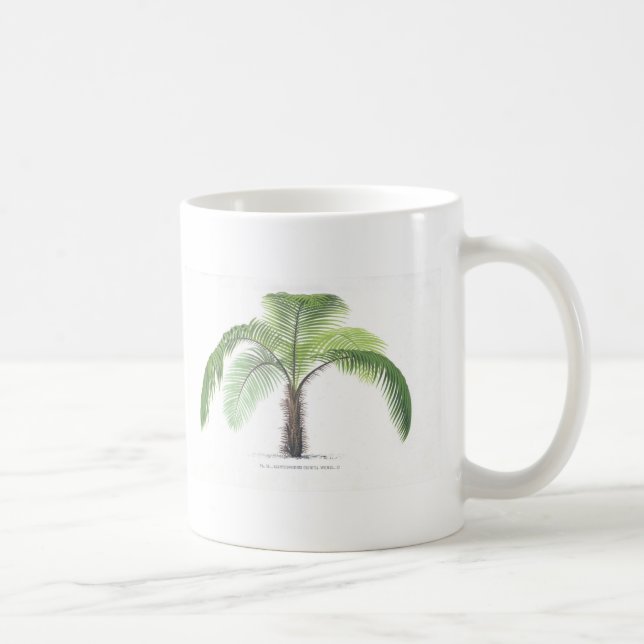 Taza De Café colección tropical de la palmera - dibujo VI (Derecha)
