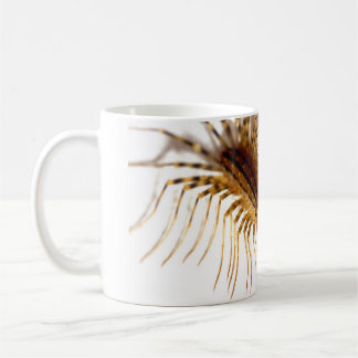 Taza De Café Coleoptrata del Scutigera