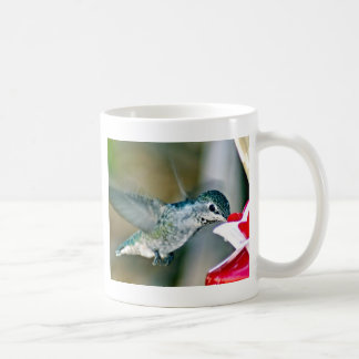 Taza De Café Colibrí