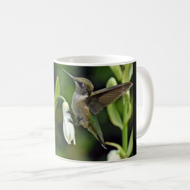 Taza De Café Colibrí (Anverso derecho)