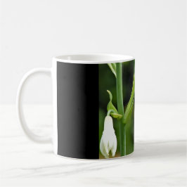 Taza De Café Colibrí