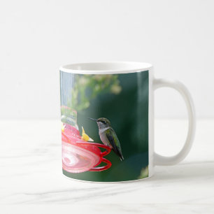Taza De Café Colibrí