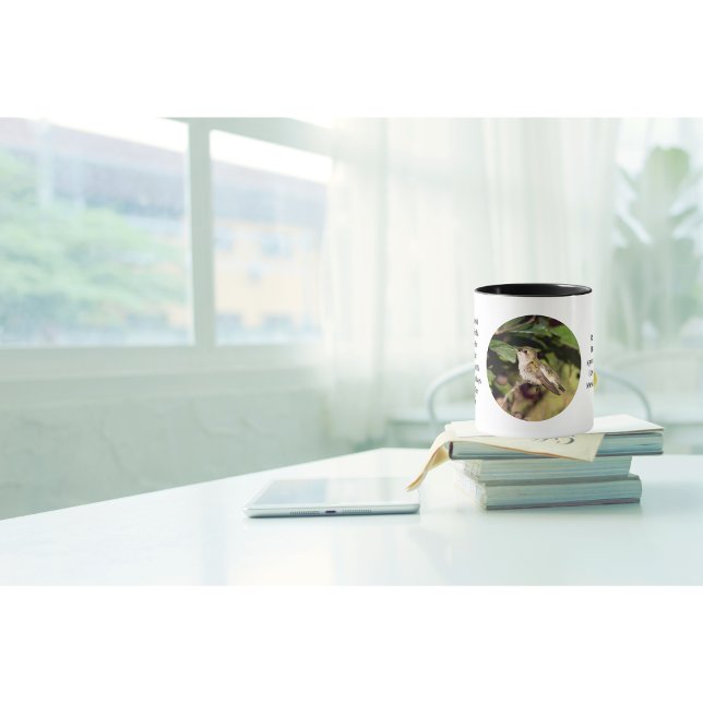 Taza de café Colibrí (It's a beautiful day why not enjoy your coffee in one of our fun facts hummingbird cups ?)