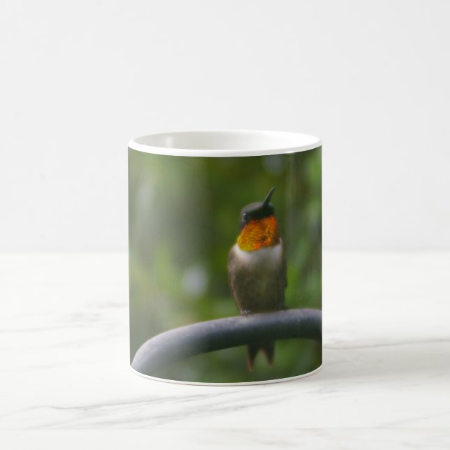 Taza De Café Colibrí (Centro)