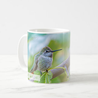 Taza De Café Colibrí de cola ancha hembra Salmo 70:4 RVR1960