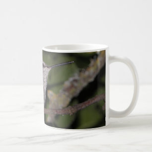 Taza De Café Colibrí del Calliope